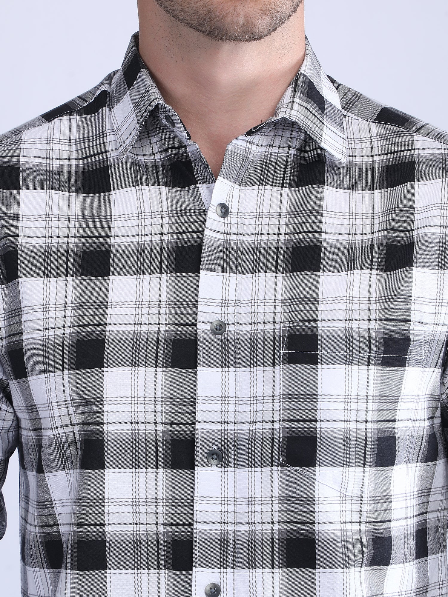 Regular Fit  Checks Shirt