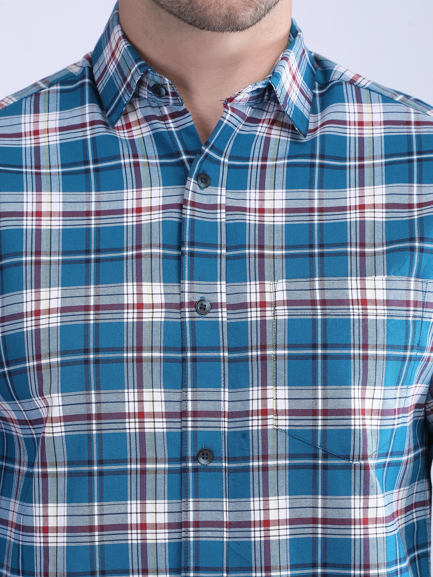 Regular Fit  Checks Shirt
