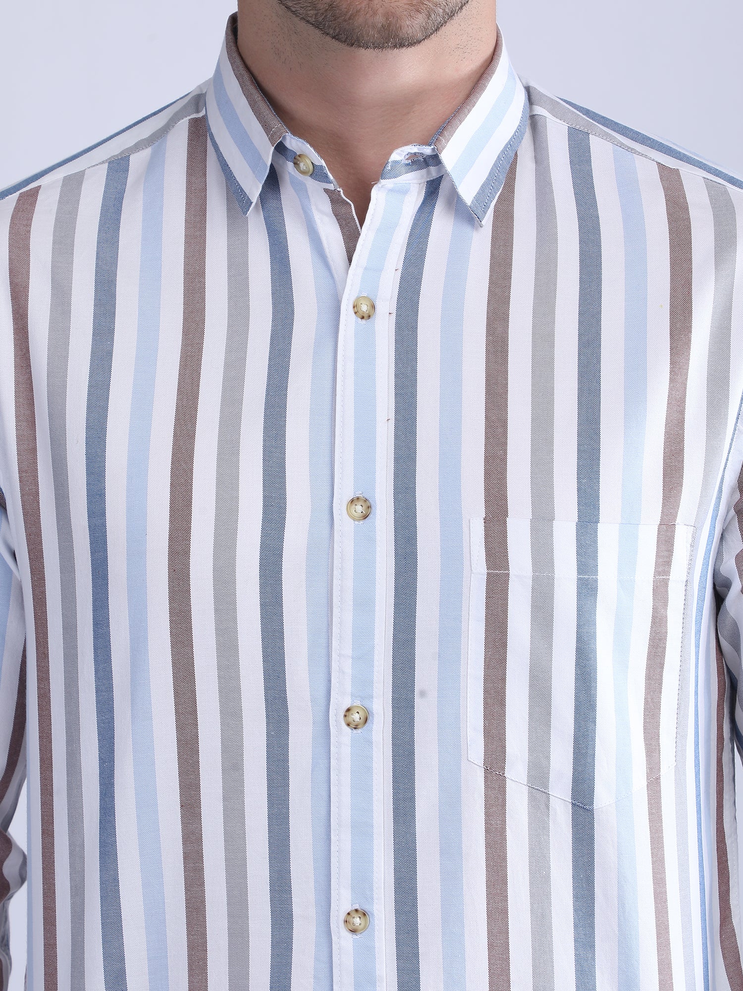 Regular Fit  Striped Shirt