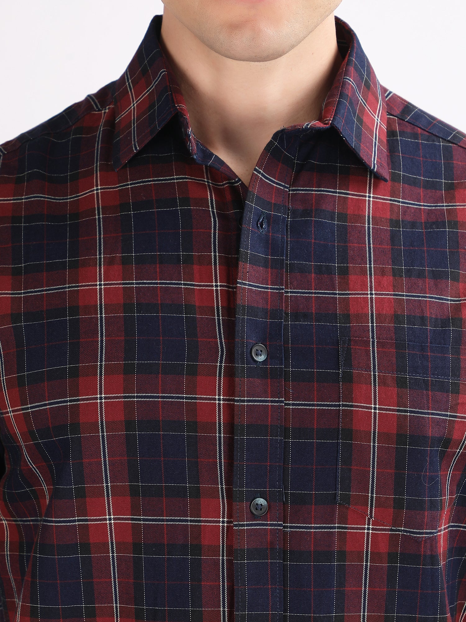 Regular Fit  Checks Shirt