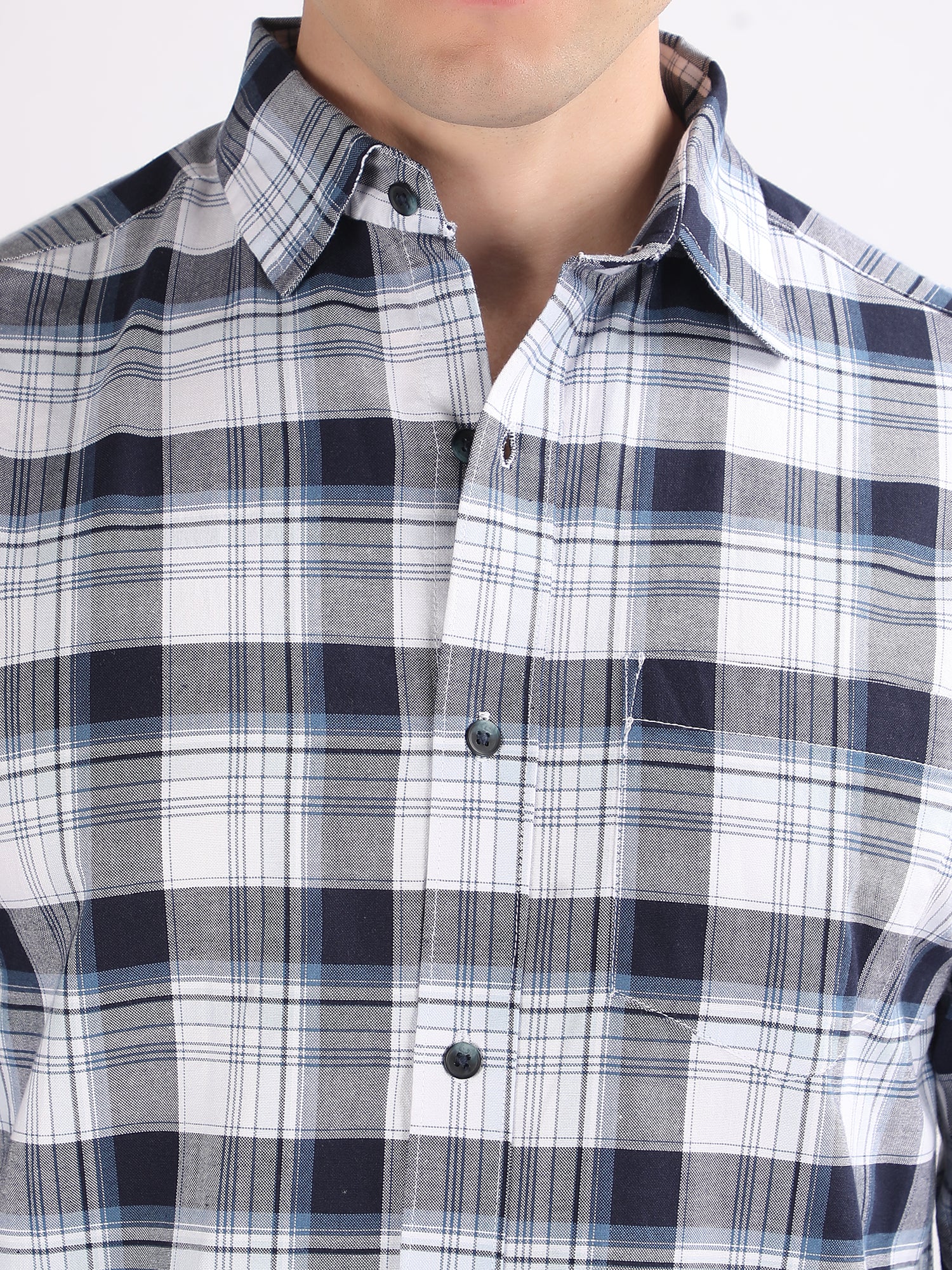 Regular Fit  Checks Shirt